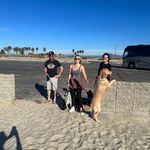 Shannon Blue McCracken - @sbblue1 - Instagram
