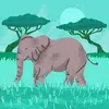 Shannon Bowe - @shannon.bowe - TikTok