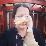 Shannon Bowers - @shannon.bowers.5 - Instagram