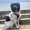 Shannon - @shannon.bun - TikTok