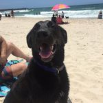 Buddy Hembrow Shannon - @buddy.hembrow_shannon - Instagram