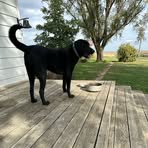 Shannon Burchfield - Facebook