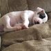 Shannon Burt - Facebook