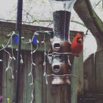 Shannon Burt - @shannonburt22 - Instagram