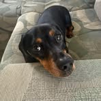 Shannon Butts - Facebook