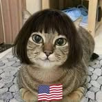 Shannon Cable - Facebook