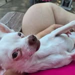 Shannon Melissa - @shannon.cabletidwell - Instagram