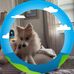 Shannon Caffee - Facebook