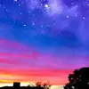shannon.casper - @shannon.casper - TikTok