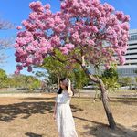 慶萱 - @shannonchinghsuan - Instagram