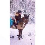 Shannon Clément - @shannon.clement.37 - Instagram