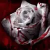 shannonclements885 - @shannon.clements3 - TikTok