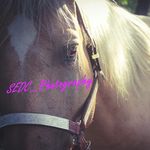 Shannon Coffman - @sedc_photography - Instagram
