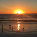 Shannon Cone - @shannon0209cone - Instagram