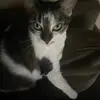 🧱 🆙 - @shannonssocool - TikTok