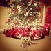 Shannon Cooley - Facebook
