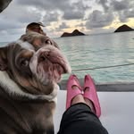 Shannon Cornwell - @cornwellshannon - Instagram