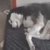 Shannon Cothran Blankenship - Facebook