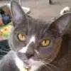 Shannon Croce - @shannon.croce - TikTok