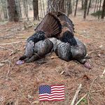 Shannon Crouch - @scrouch835 - Instagram