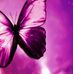 Cutshaw Shannon - Facebook