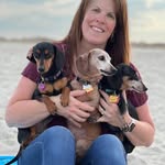 Shannon de Forest - @teachinshan - Instagram