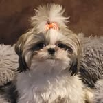 Shannon Rupe DeMoss - @sdemoss24 - Instagram