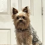 Shannon Derr-Fishel - @shannyt247 - Instagram