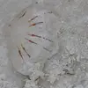 Shannon Vandever - @shannon.vandever - TikTok