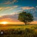 Shannon DeVore Jenkins - Facebook