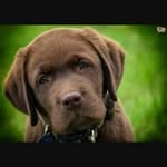 Shannon DeVore Jenkins - @devorejenkins - Instagram