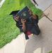 Shannon Dingles - Facebook