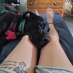 Shannon Durst - @the_enforcer81 - Instagram