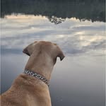 Shannon DuVal - @shannonduval10 - Instagram