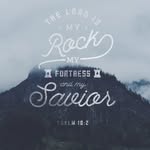 @shannonebertfxministries - Instagram