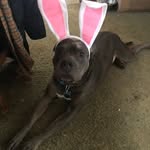 Shannon Eckert - @majik9974 - Instagram