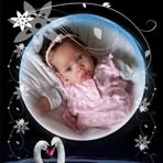 Shannon Eckert - Facebook