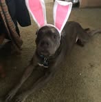 Shannon Eckert - Facebook