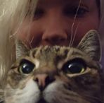 Shannon Eileen - Facebook
