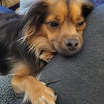 Shannon Elder - @shan1177 - Instagram