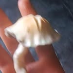Shannon Ellison - @nope.com_ok - Instagram
