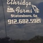 Shannon Ethridge - @ethridgeshannon - Instagram