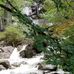 Shannon Falls - Facebook