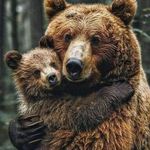 Shannon Ferris Huber - @huber_shannon - Instagram