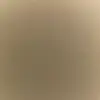 Shan - @shannon.ferry - TikTok