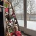Shannon Galloway Floran - Facebook