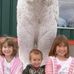 Shannon Gallup - Facebook