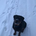 Shannon Goad - @shannongoad1022 - Instagram