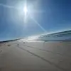 Shannon Granger - @shannon.granger - TikTok