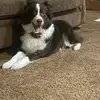 Shannon Hackett492 - @shannonhackett492 - TikTok